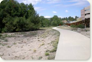 Plum Creek Trail Phase III Bridge and Retaining Wall Design