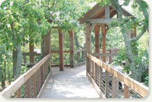 Watchable Wildlife Boardwalk at Bass Lake