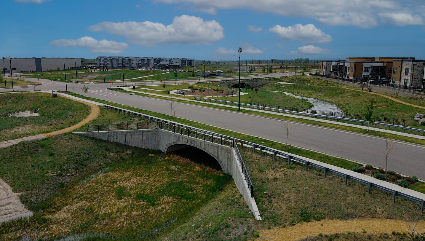 61st & Pena Arch Bridges